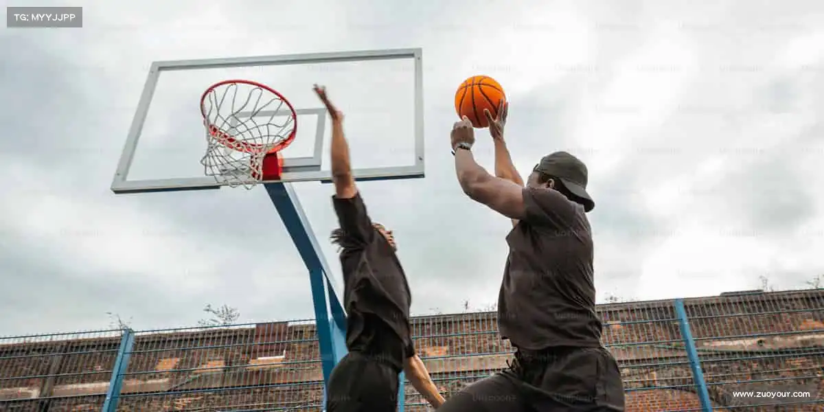 <strong>od综合体育官网</strong>从这里开始，让健康成为生活标配！🏋️‍♂️🌿